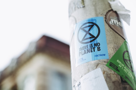 A utility pole is adorned with colorful posters, the most prominent of which is blue and features a stylized hourglass logo with the text 'THERE IS NO PLANET B'. Other posters, including a green one, contribute to the cluttered yet expressive appearance of the pole. The background shows a blurred view of a building with a gabled roof against a pale sky.