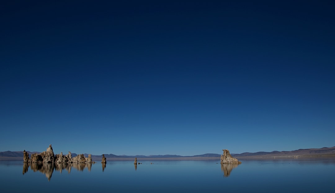 brown posts on body of water