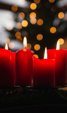 shallow focus photo of four red lighted candles von Max Beck (https://unsplash.com/@maxvonbeck)