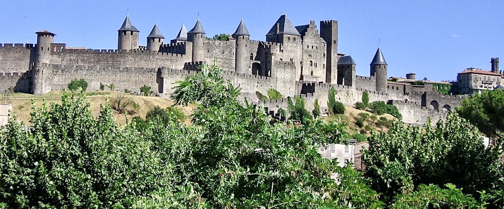 green trees near gray castle