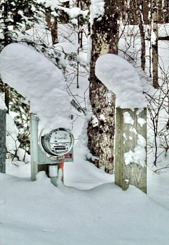 A snow-covered outdoor scene featuring a utility meter mounted on a wooden post. The meter and surrounding posts are heavily capped with snow. In the background, there are trees with branches also laden with snow, suggesting a recent snowfall in a forested area.