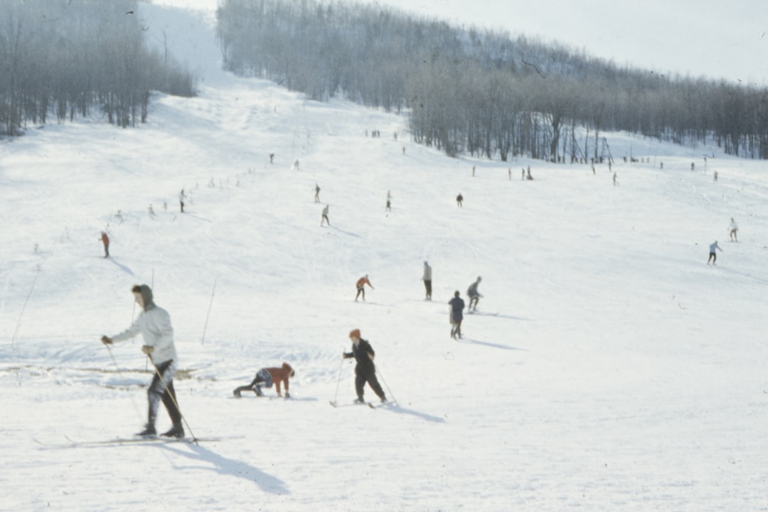 people doing snow boarding on field