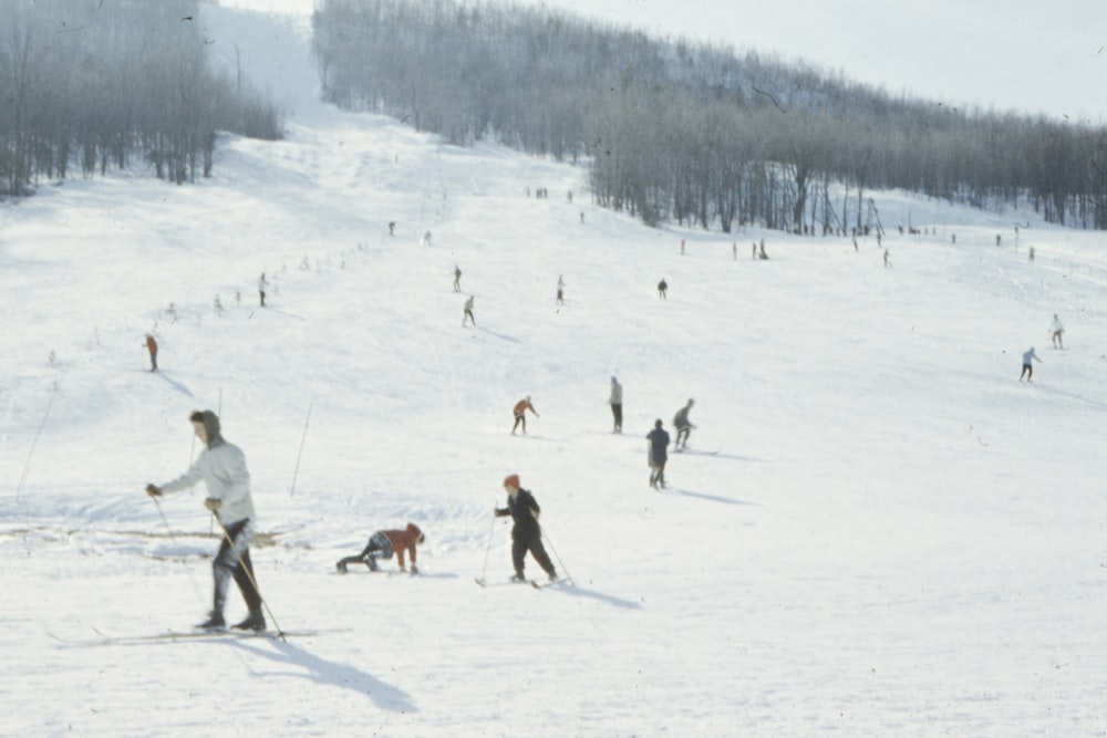 people doing snow boarding on field