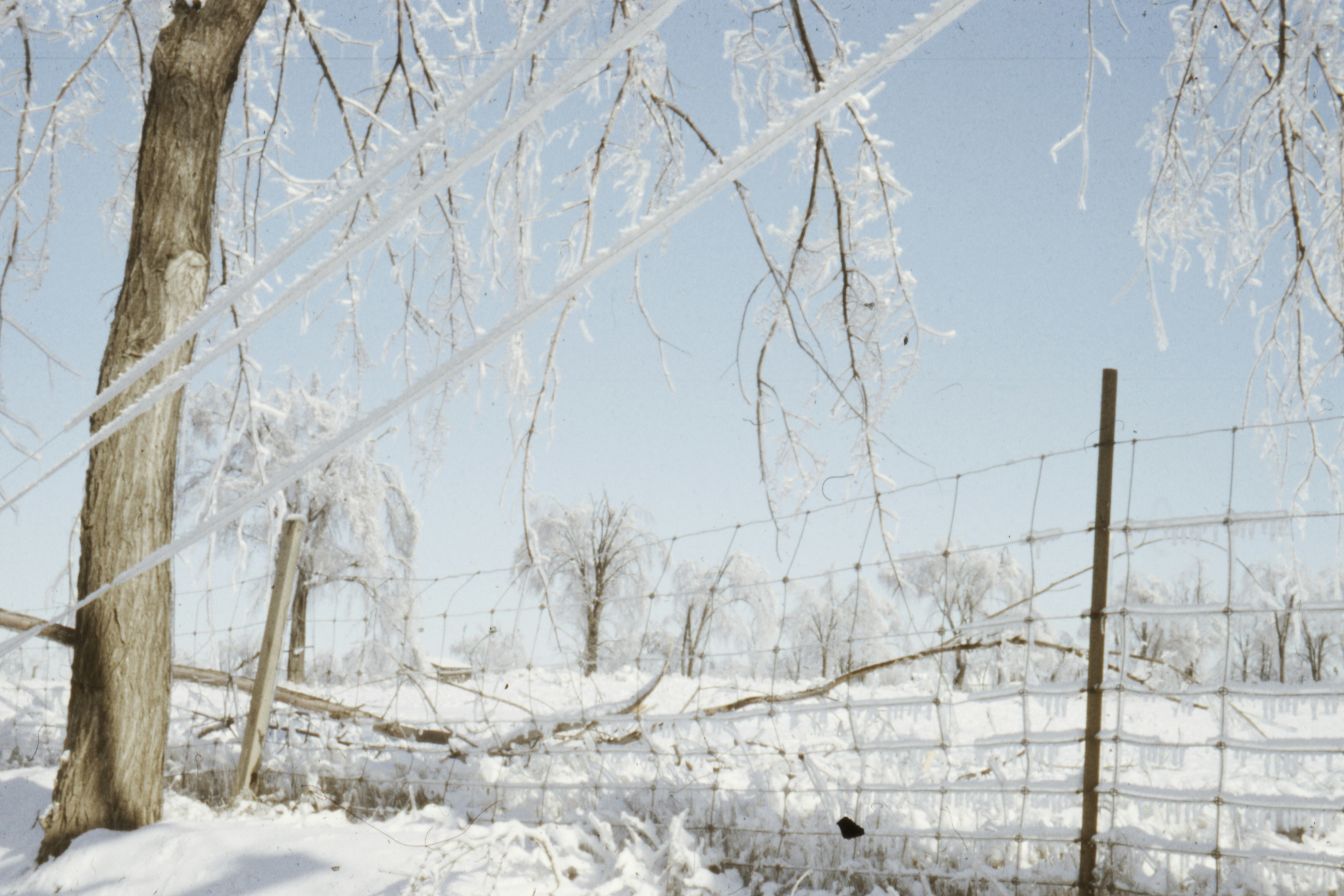 Photo by anniespratt