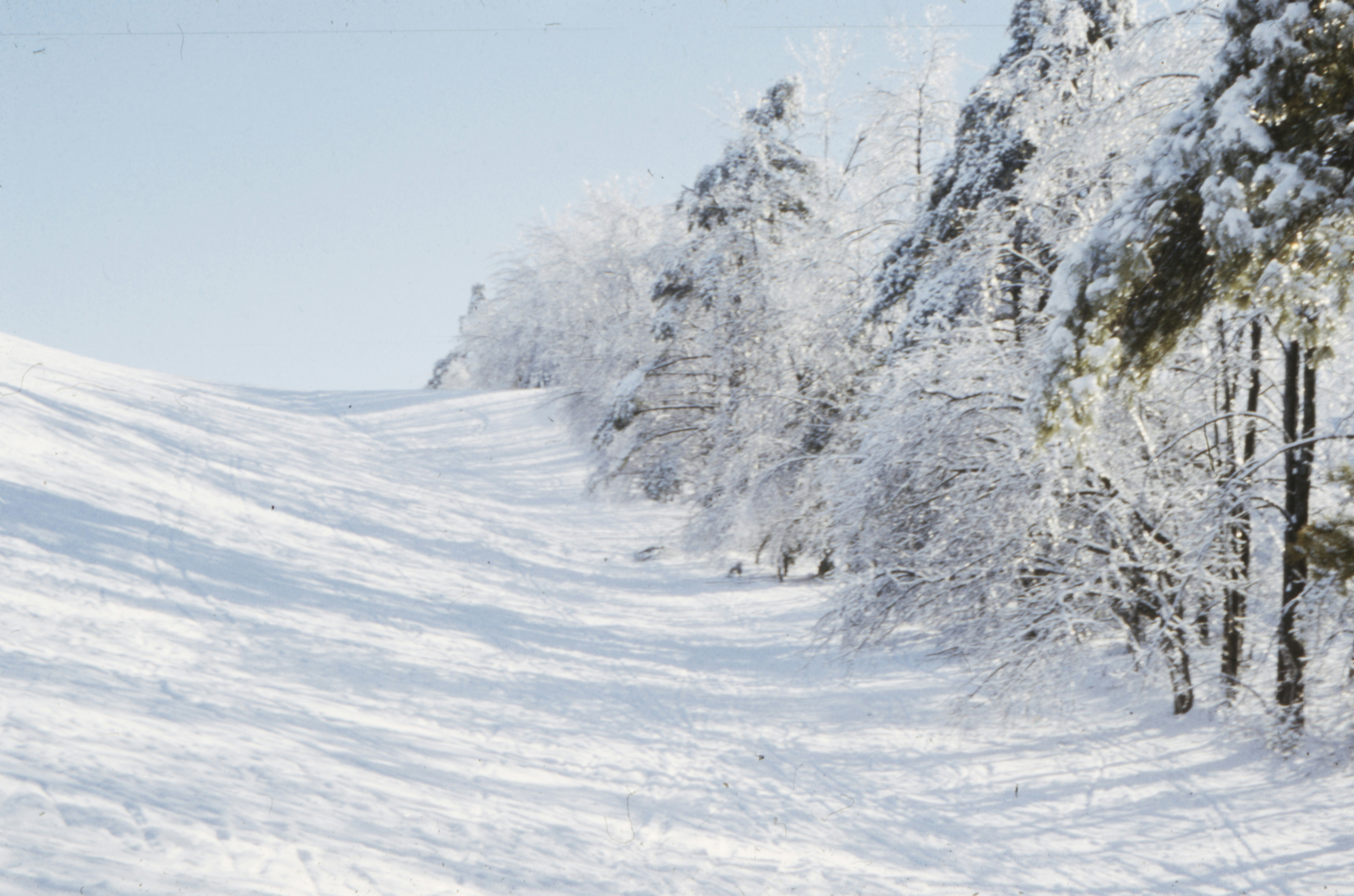 Photo by anniespratt