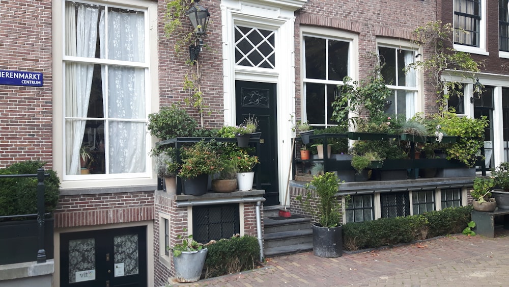 green plants on house front