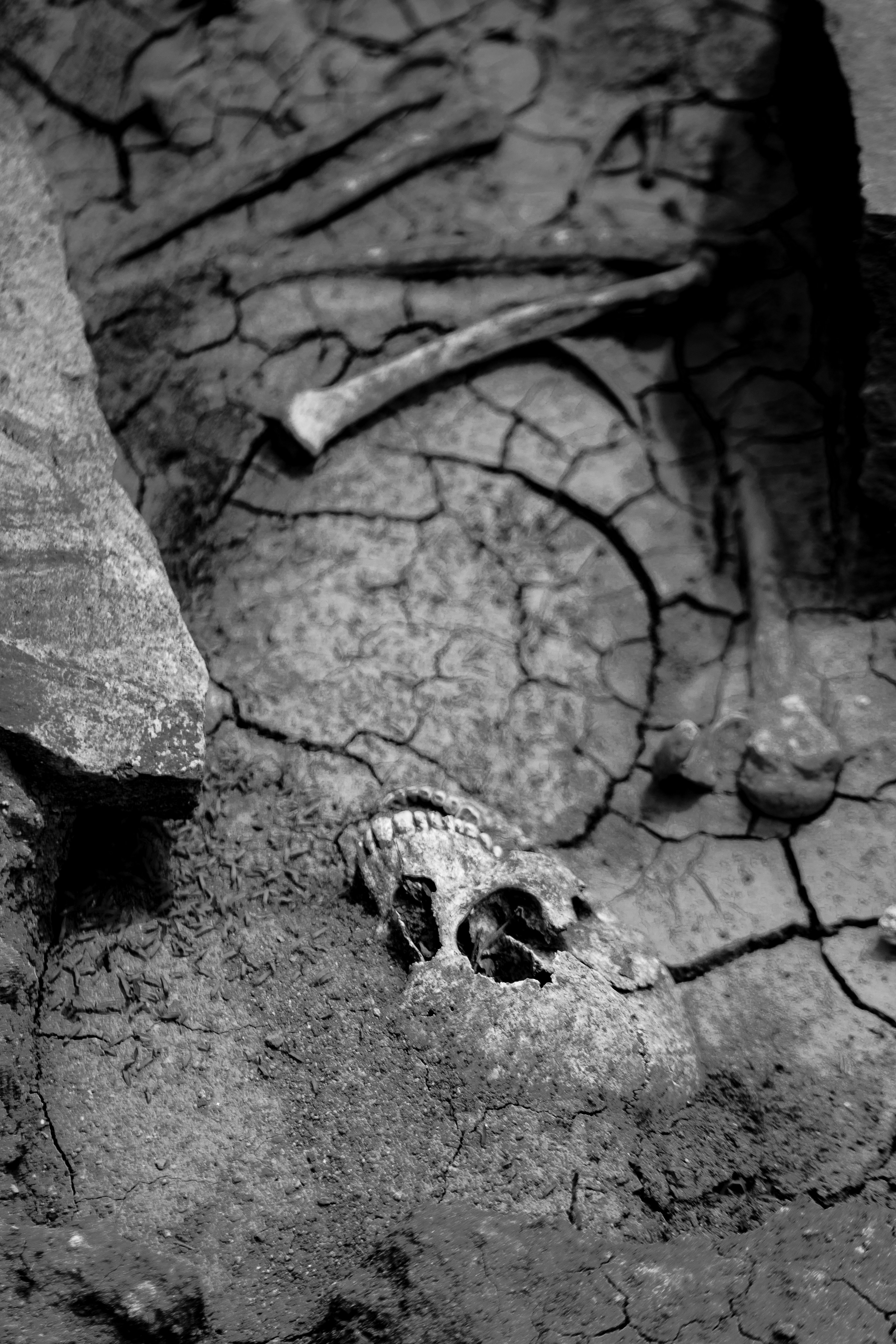 Photo by sahand_hoseini