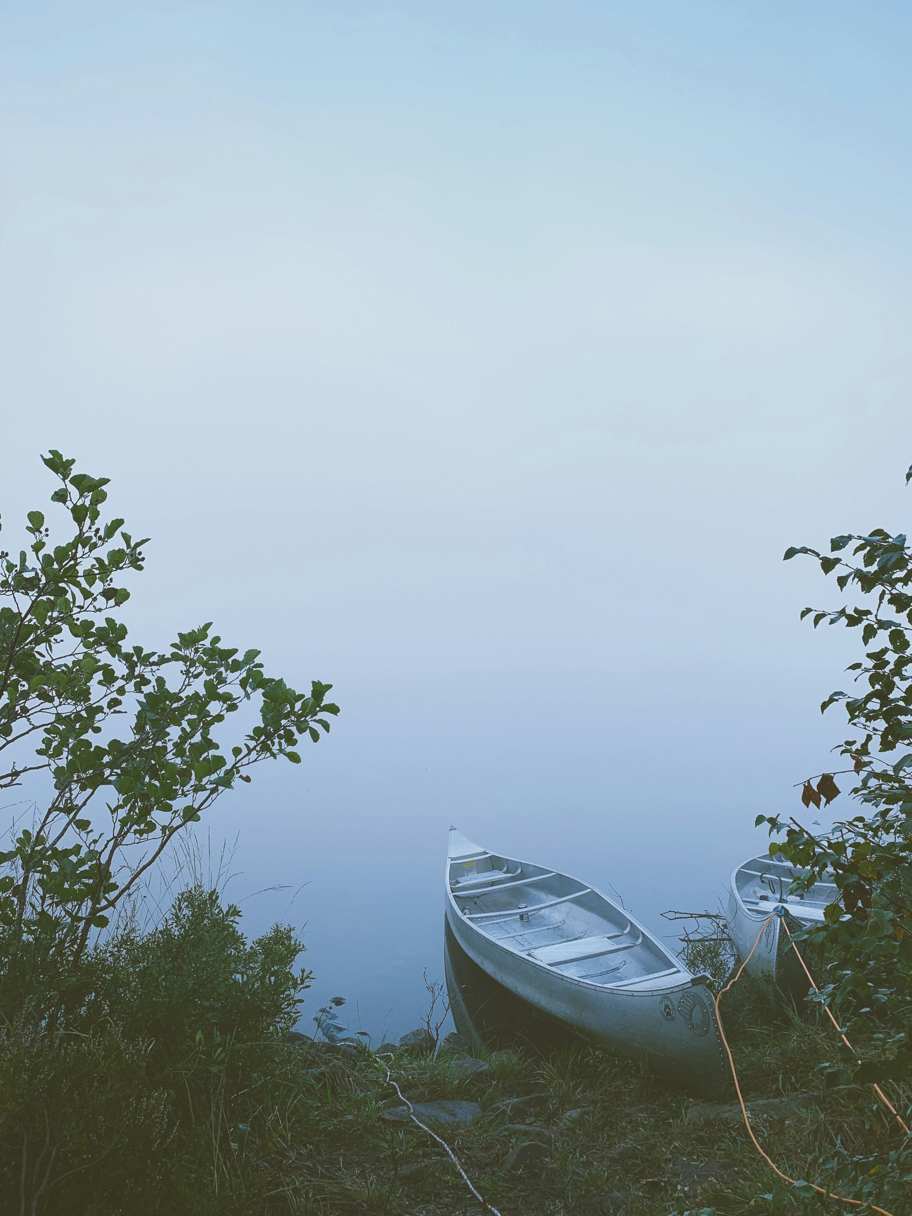 Photo by nikolajpeter