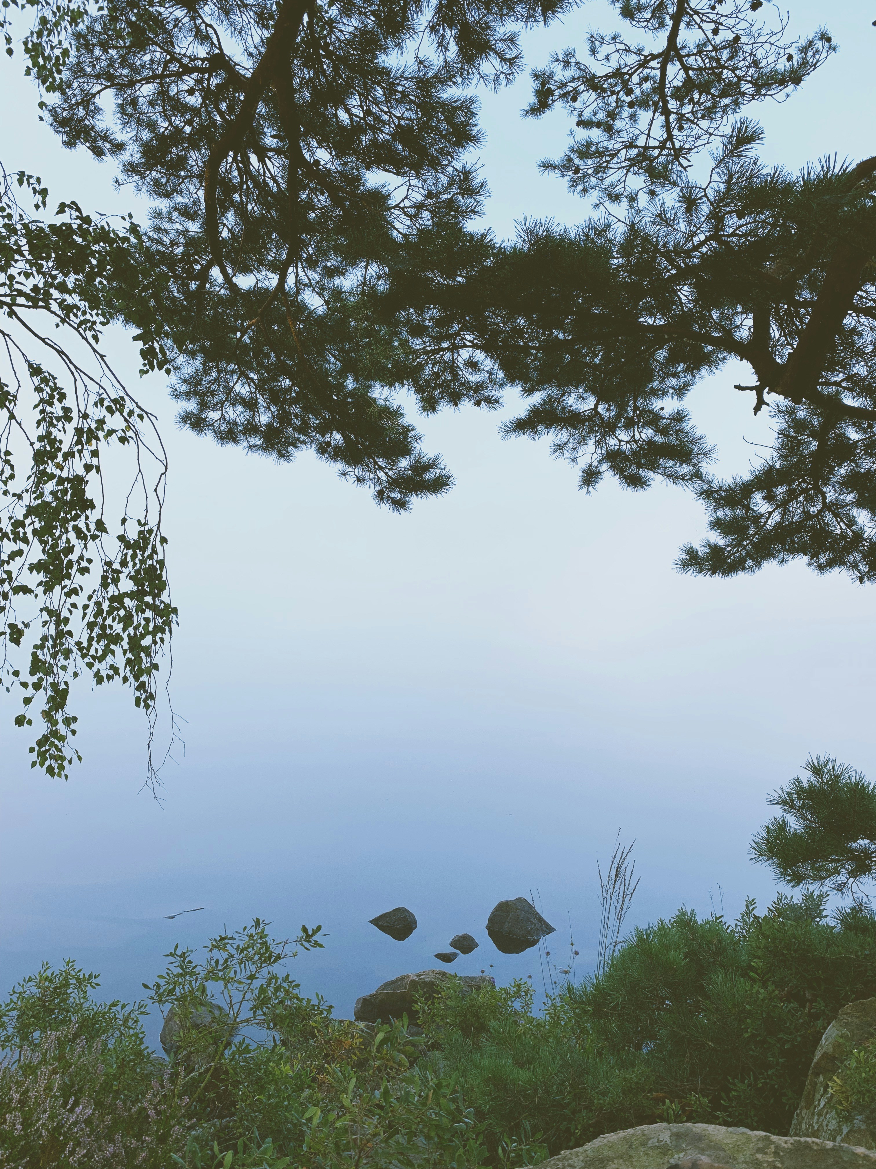 Photo by nikolajpeter