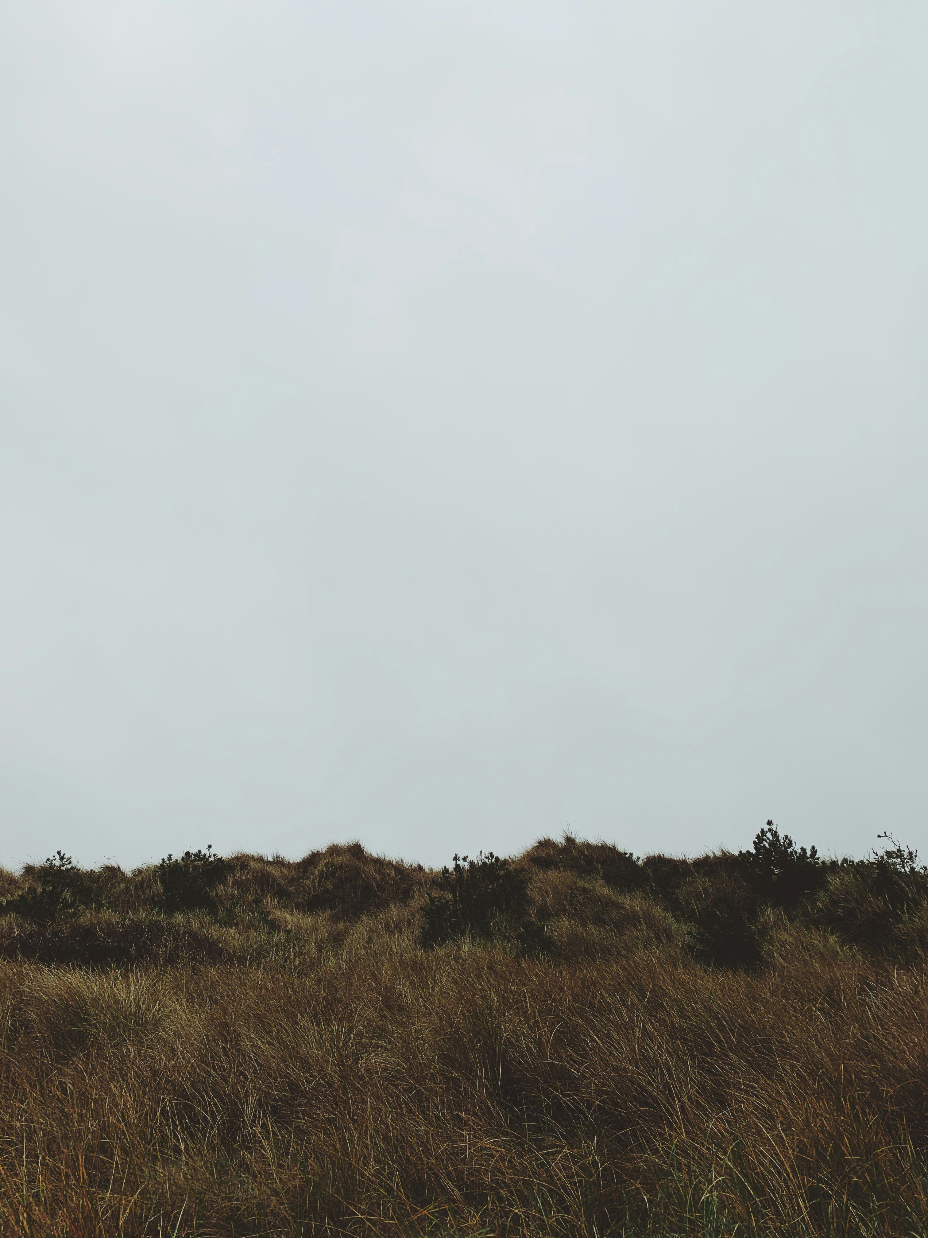 Photo by nikolajpeter