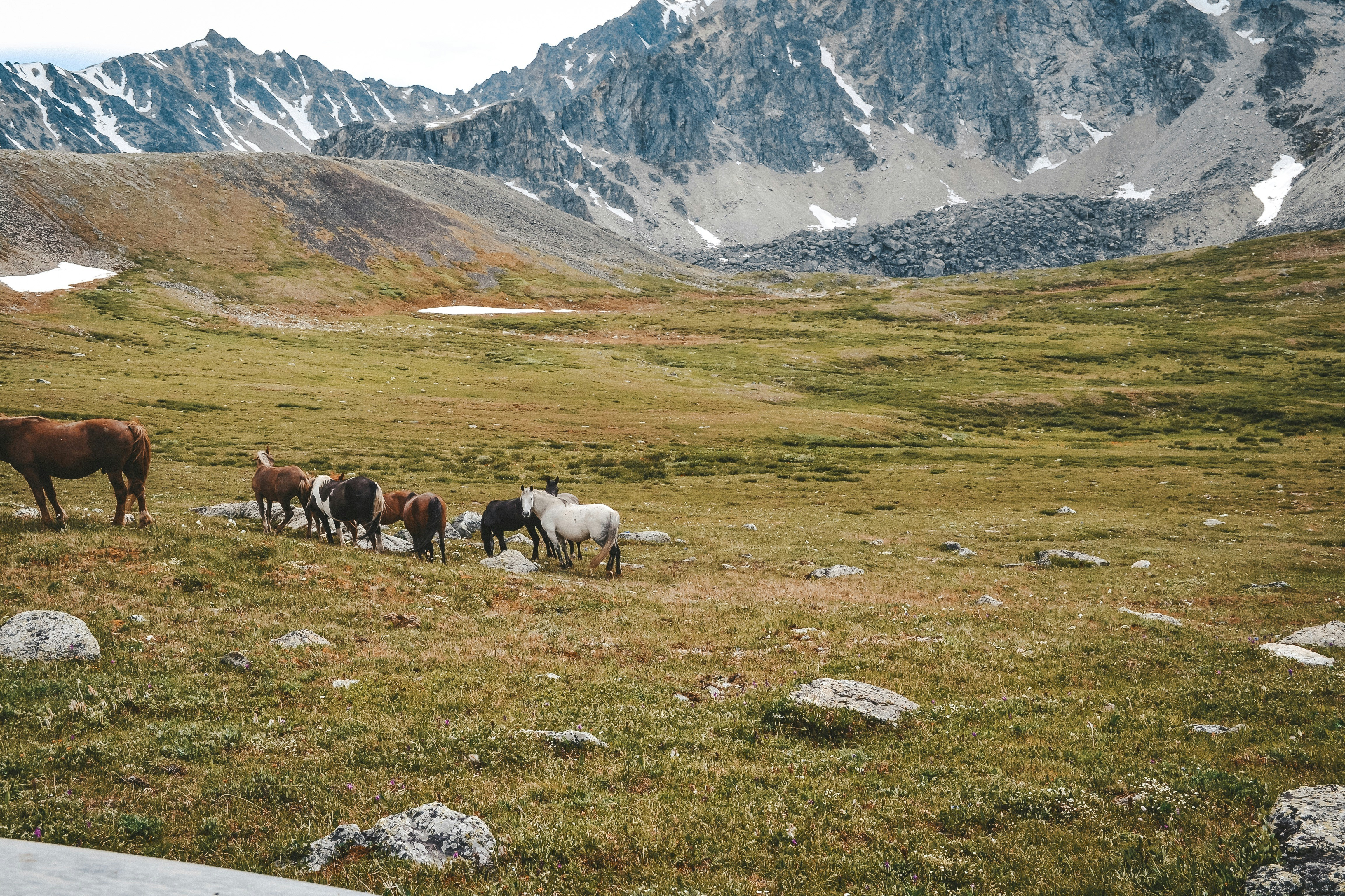 Photo by nastya_kane666