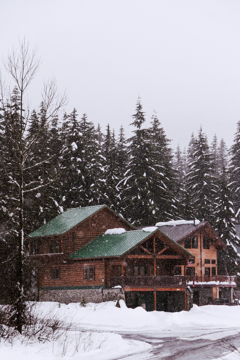 brown and green wooden house on snowfield beside trees