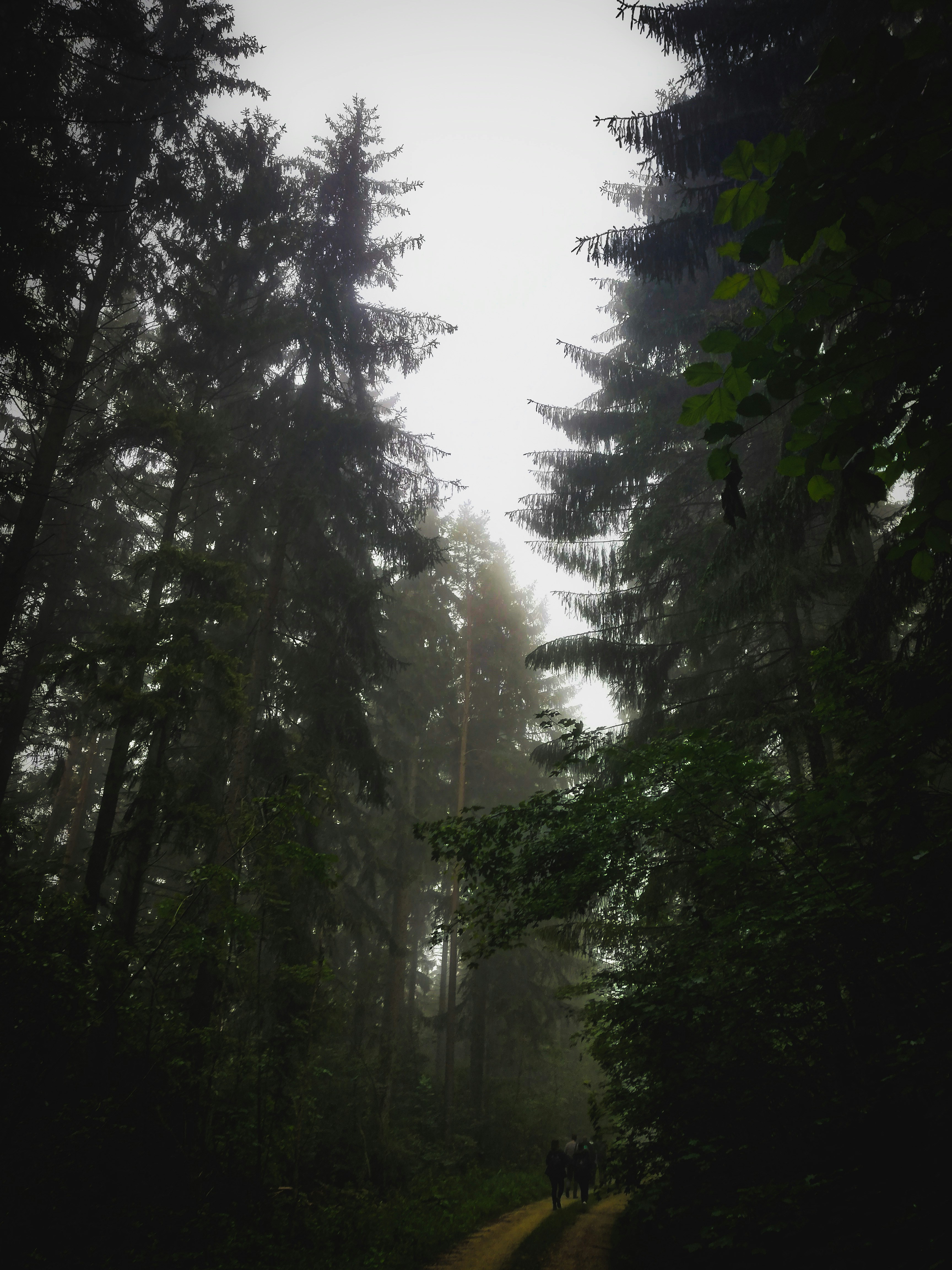 Photo by jonasmitdemb