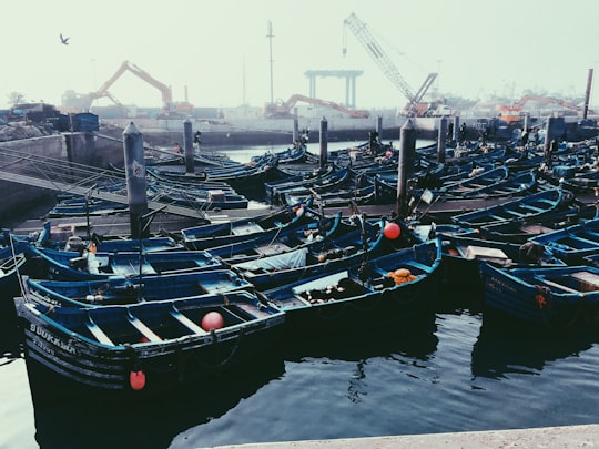 boats docked at the port during day in Essaouira Morocco