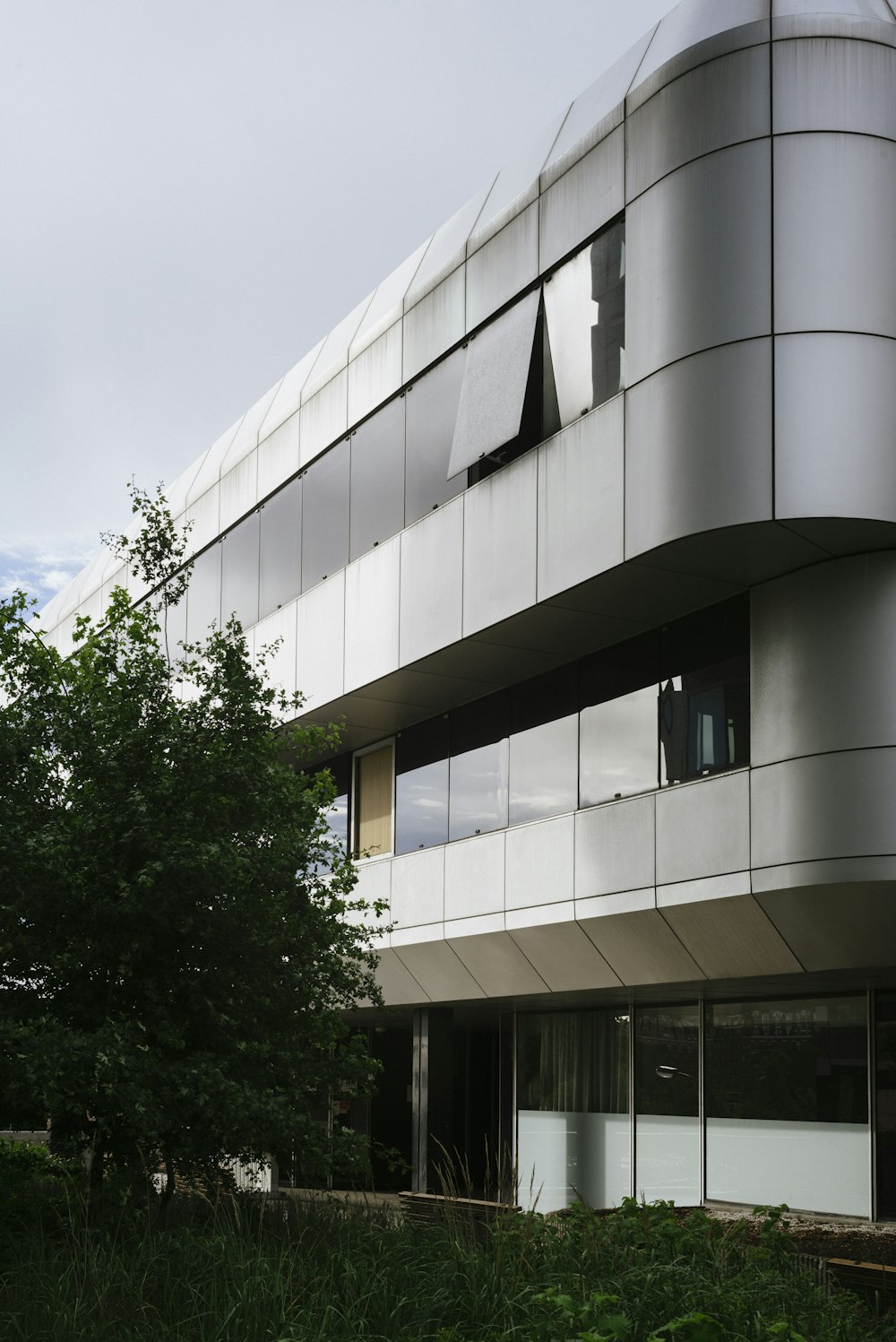 building and tree during day