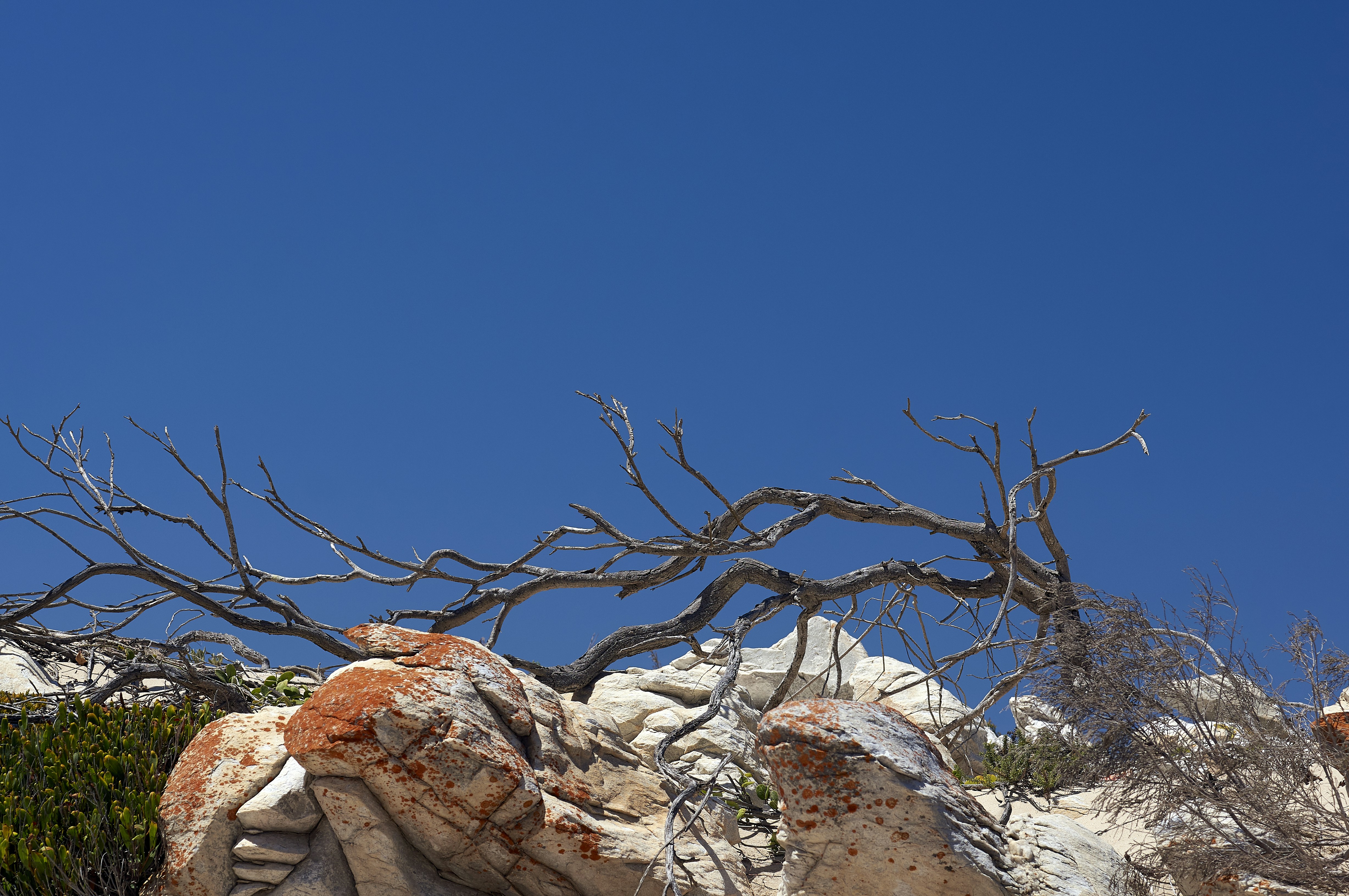 Photo by wolfgang_hasselmann