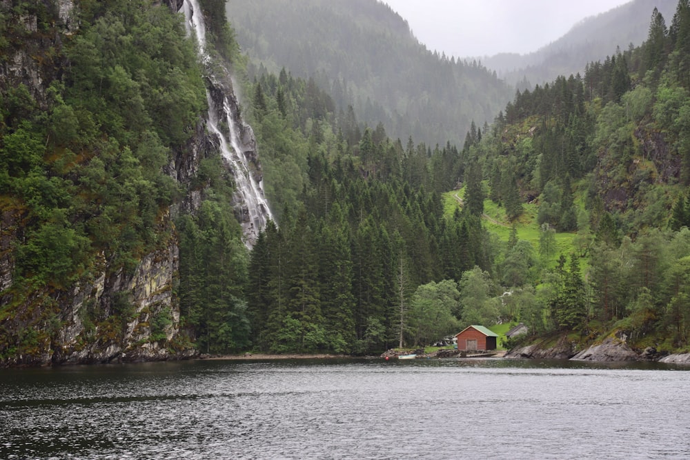 calm water of river surrounded by trees