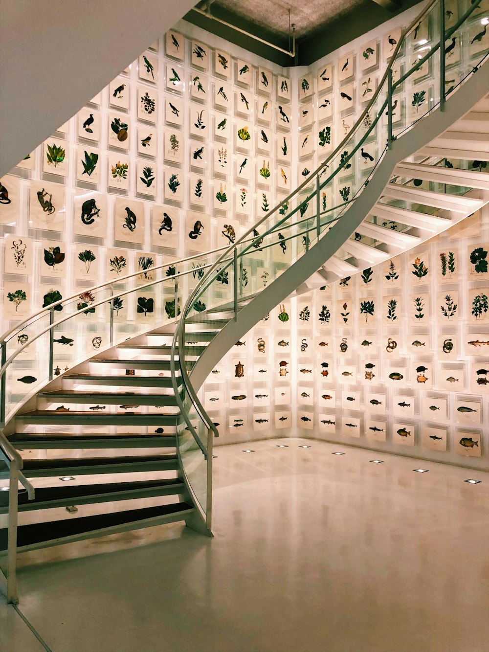 a spiral staircase in a museum with a wall of pictures on the wall