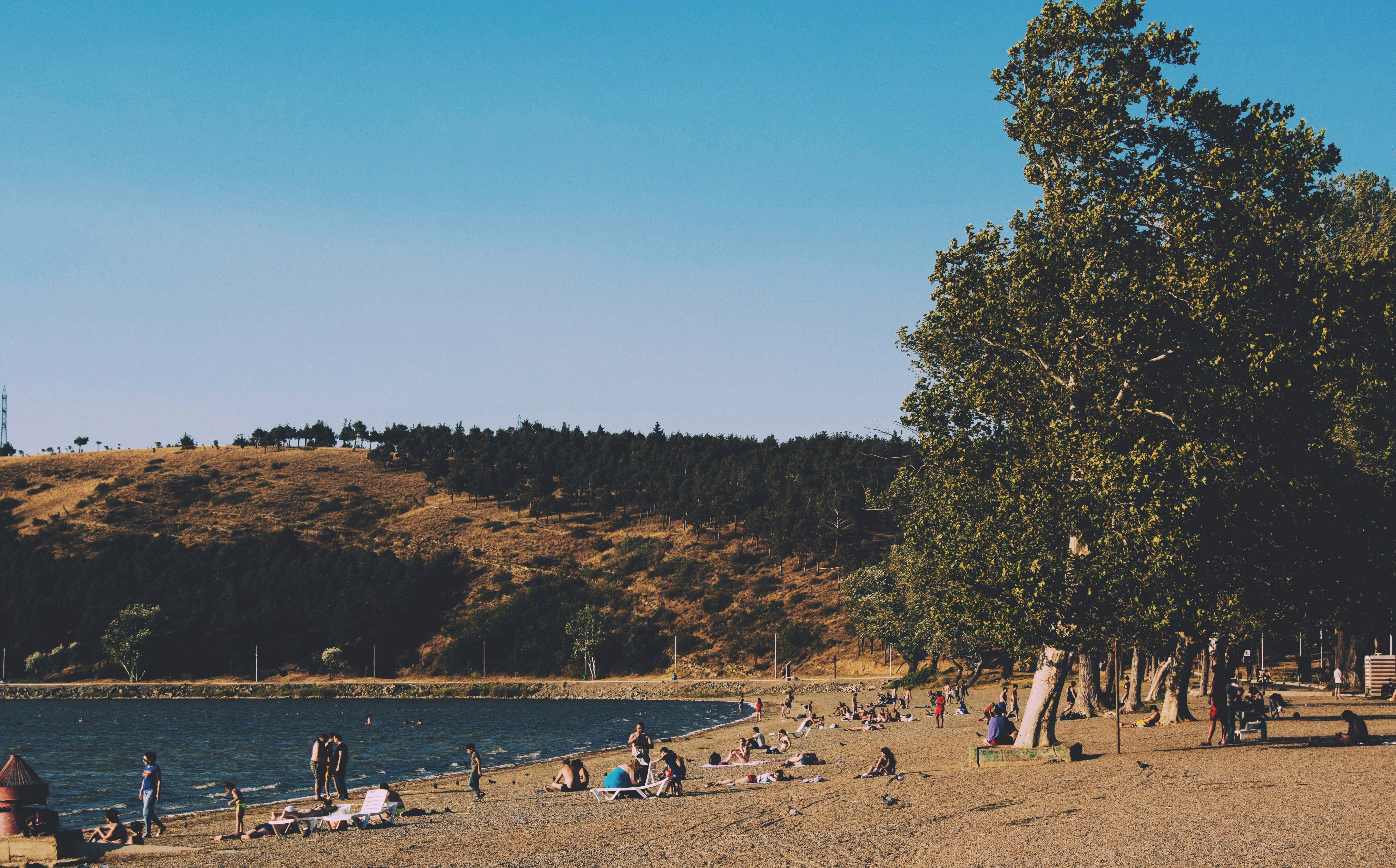 Fotografía de personas junto a la orilla del mar durante el día