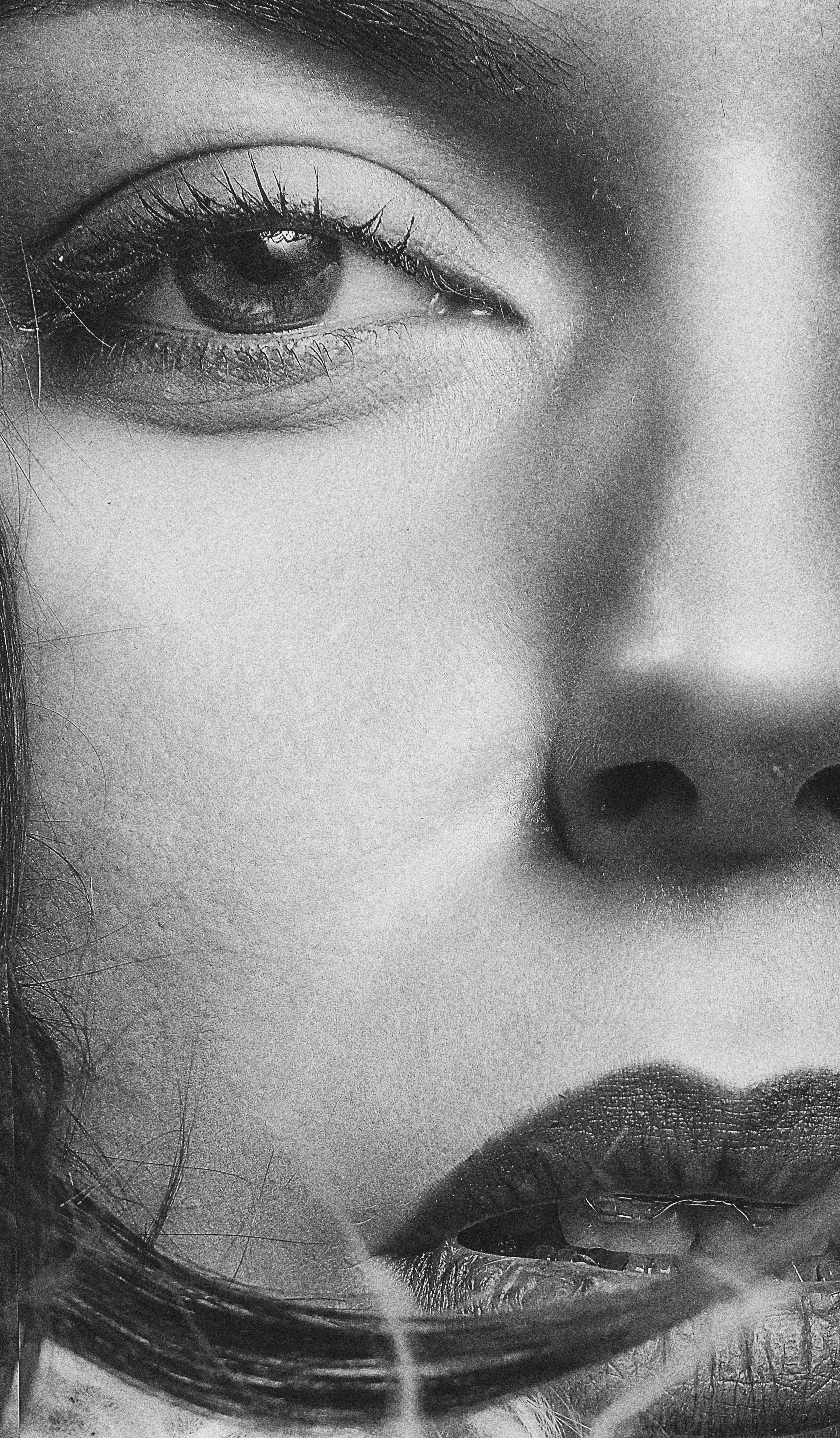 A close up of a woman's face with her eyes closed photo – Free Grey ...