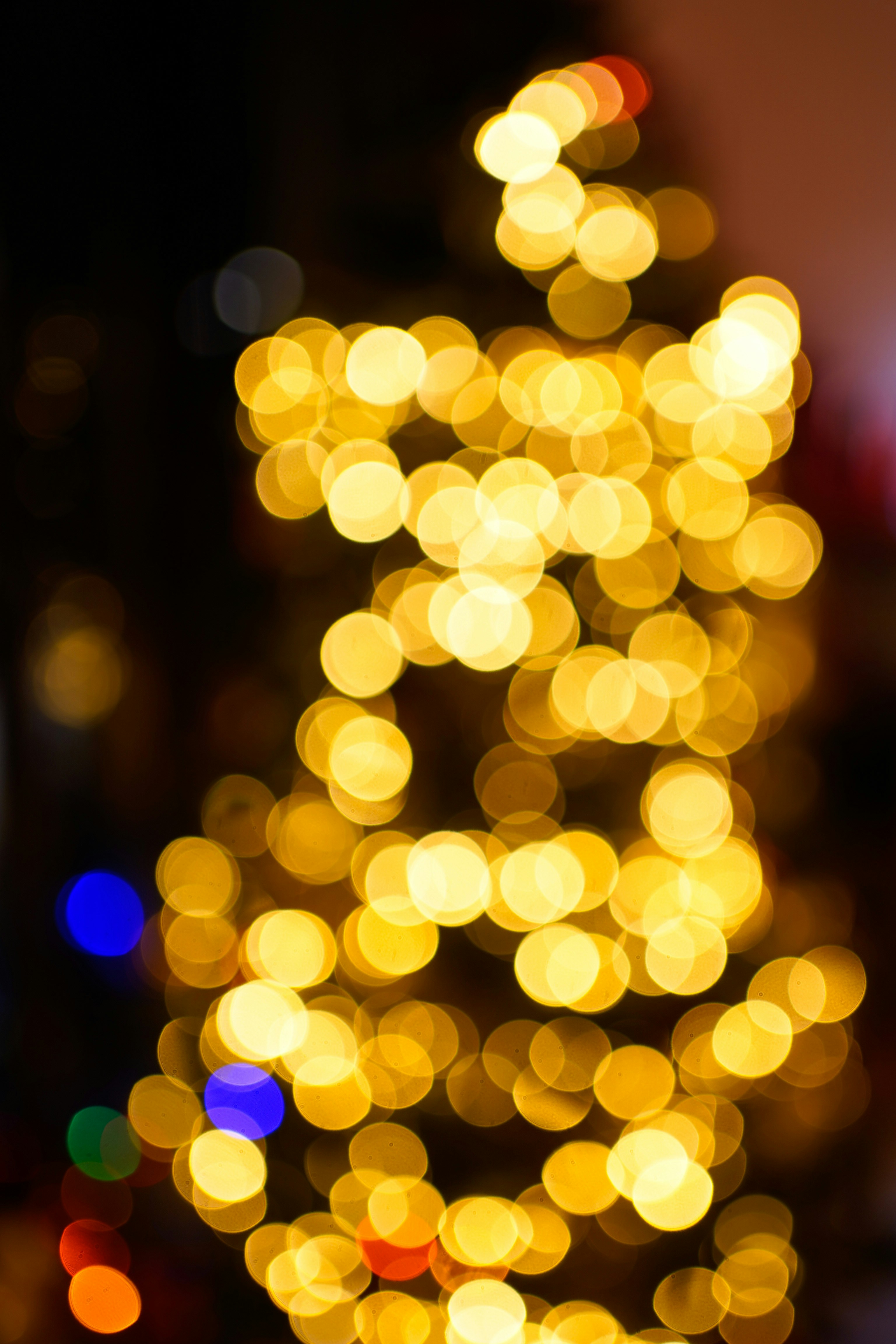 Photo by michelstock