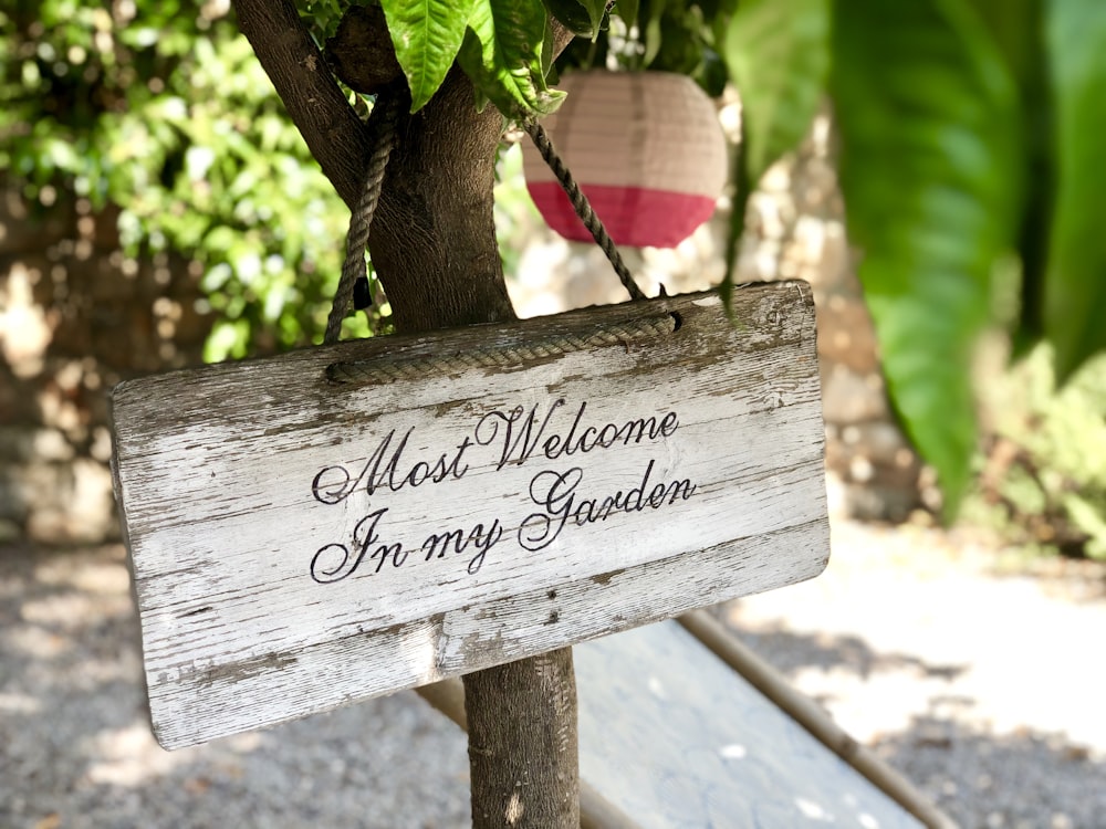 most welcome in my garden signage