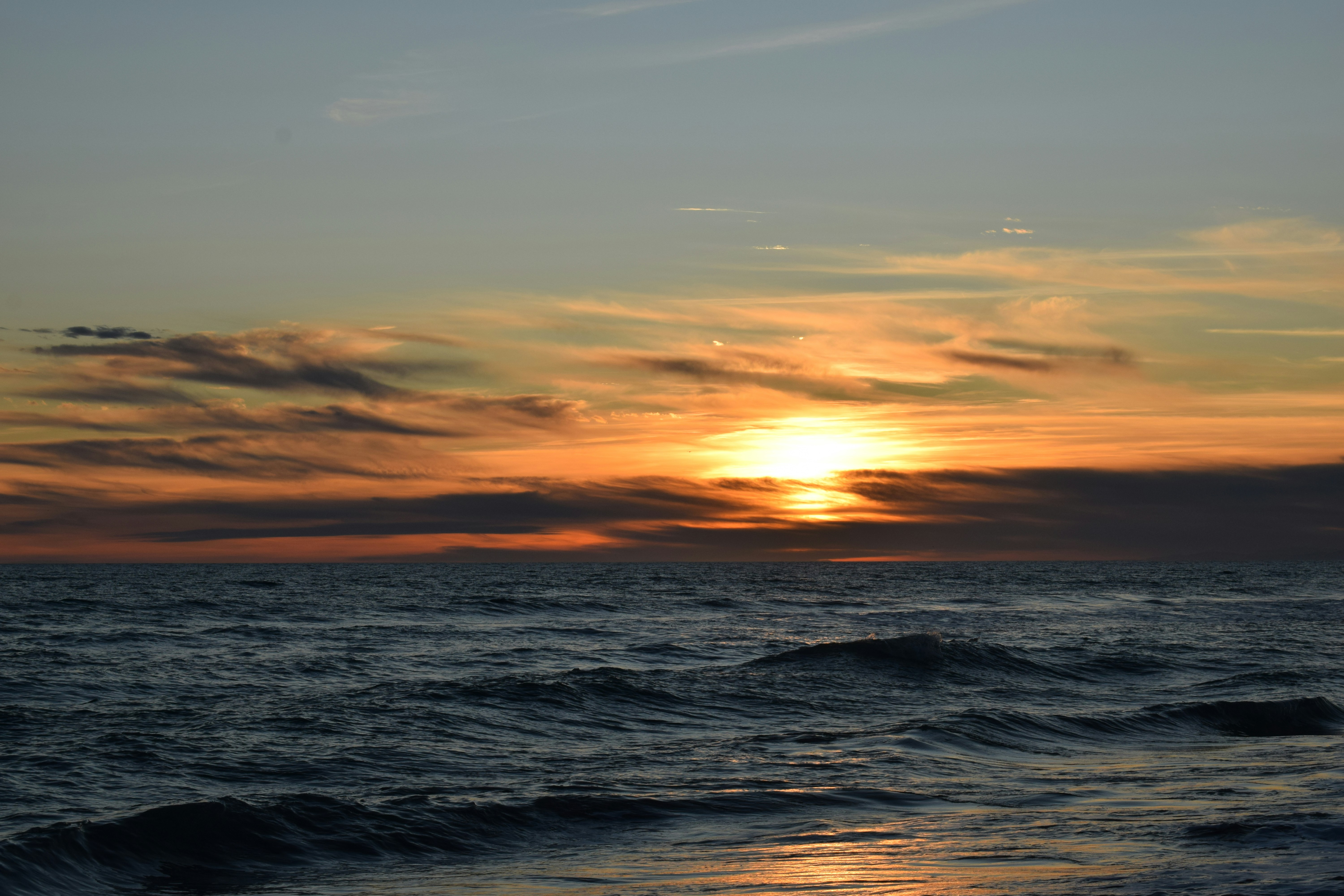 Photo by douglasgausi