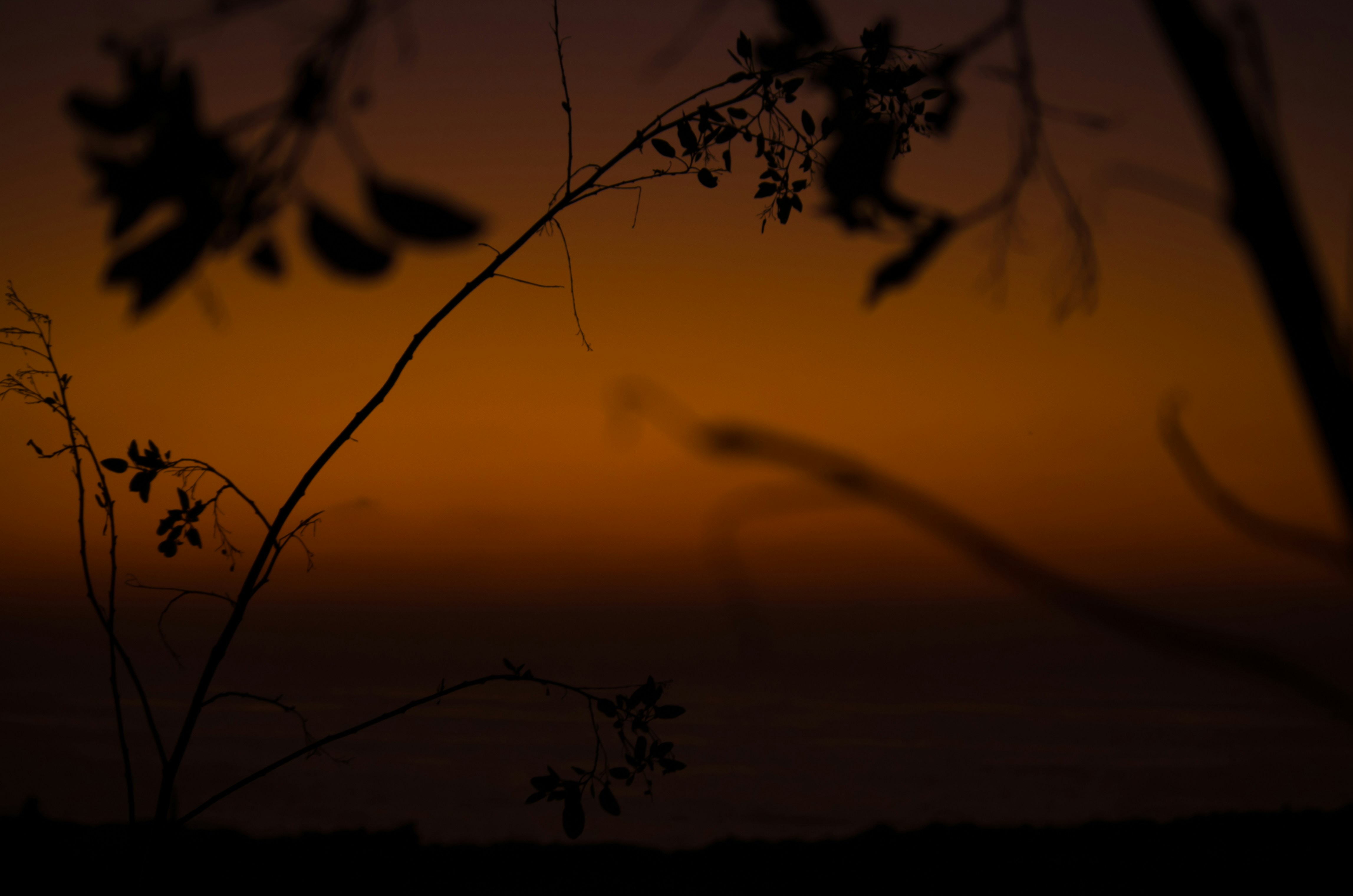 Featured image of post Sky Wallpaper Aesthetic Brown - Tumblr purple, tumblr sky, retro, vintage, grunge, aesthetics.