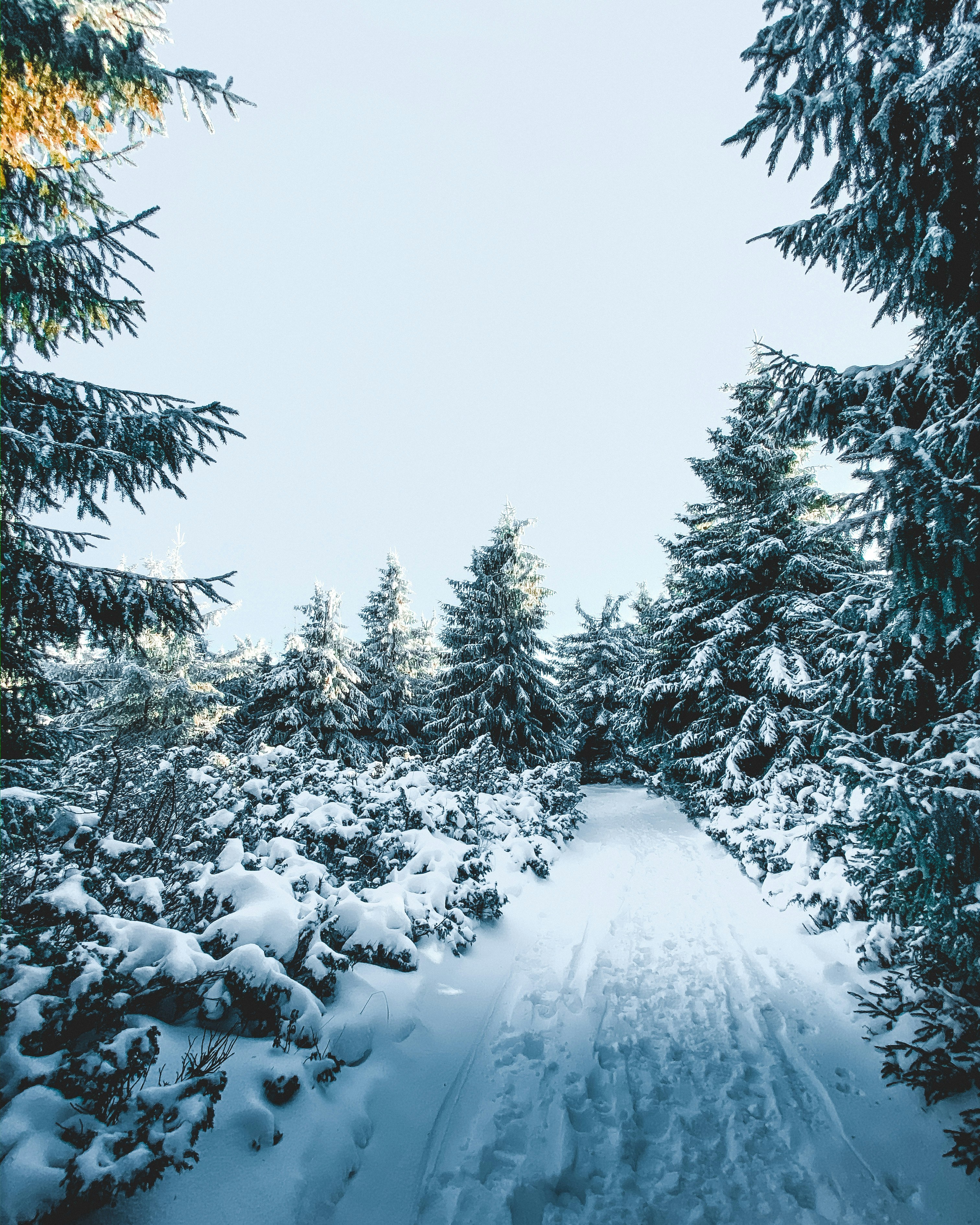 Photo by tamas_tuzeskatai