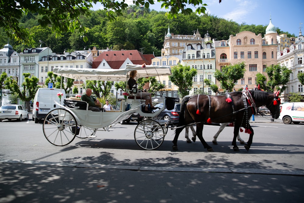 men riding carriage