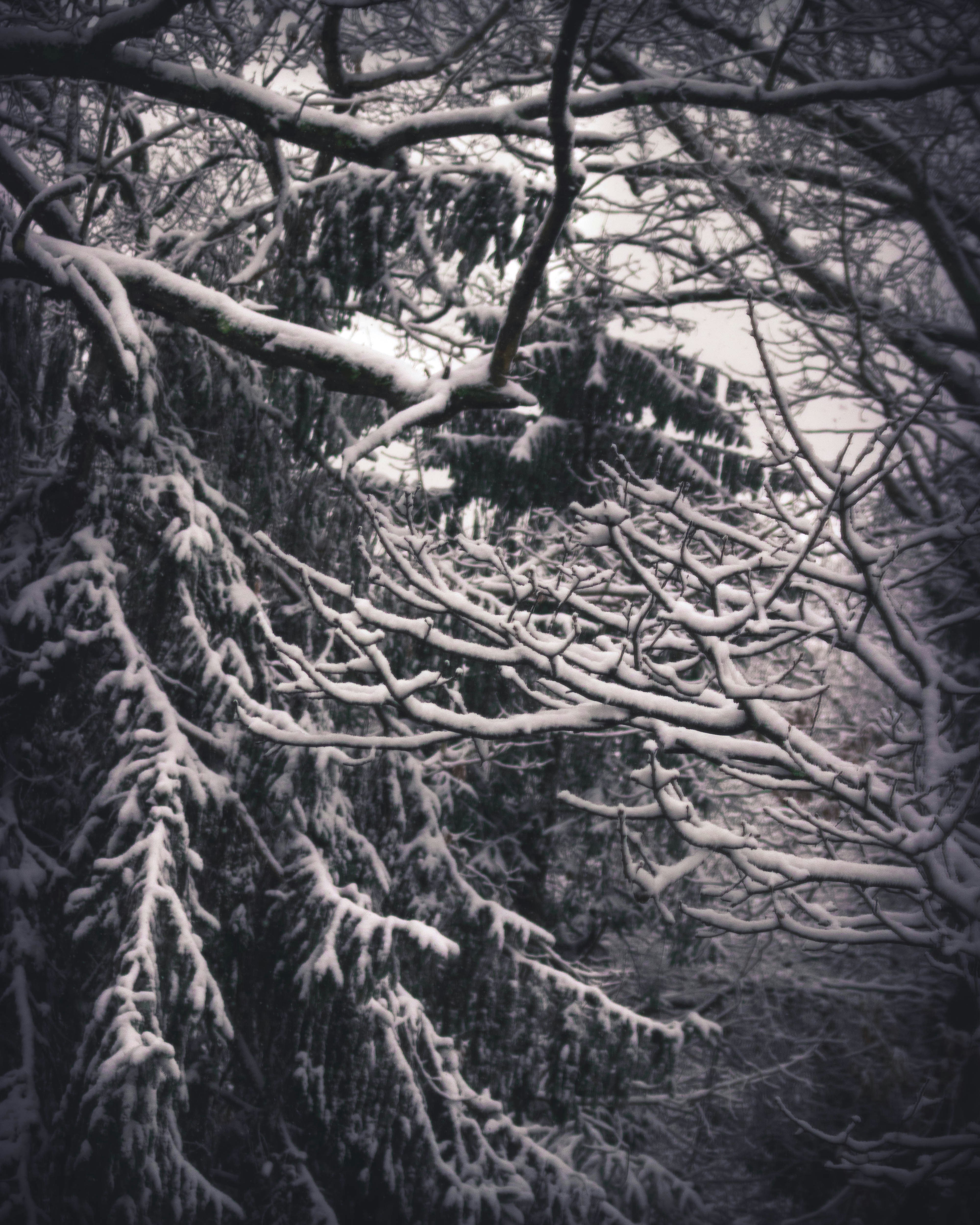 Photo by jackward