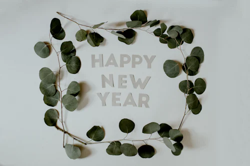 Meilleurs vœux pour la nouvelle année !