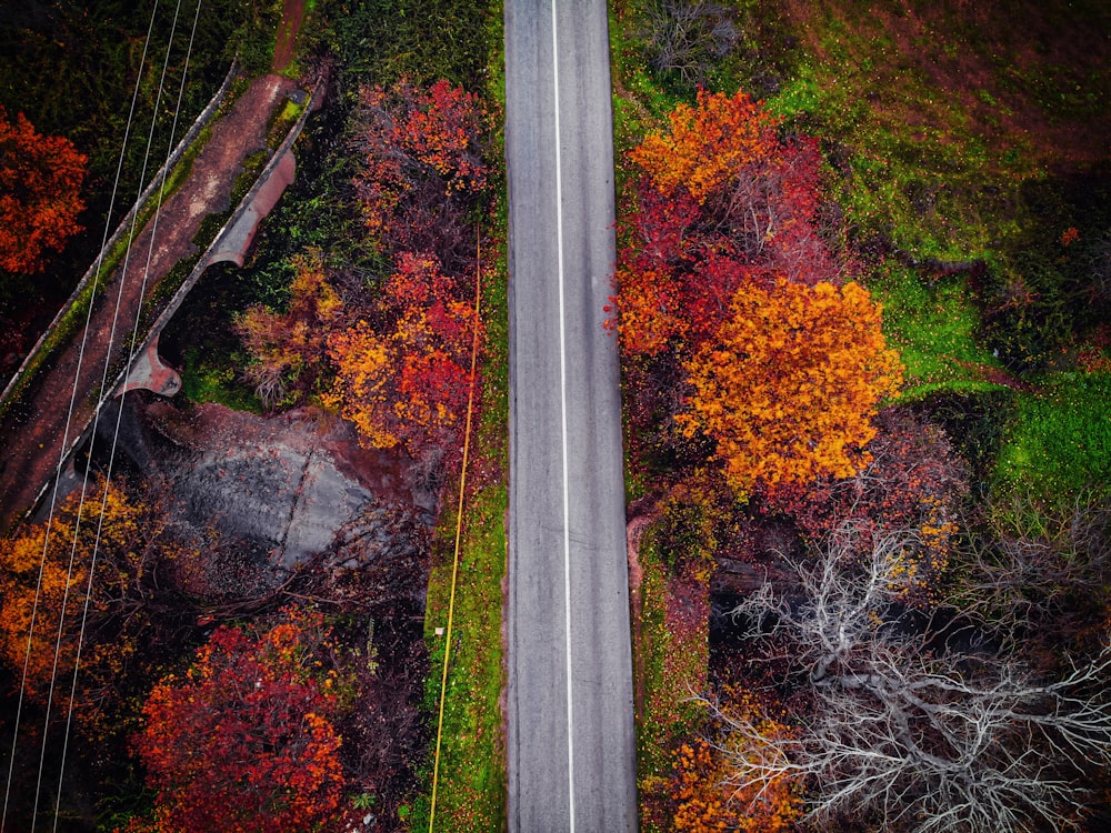 aerial photography or road and trees during daytime
