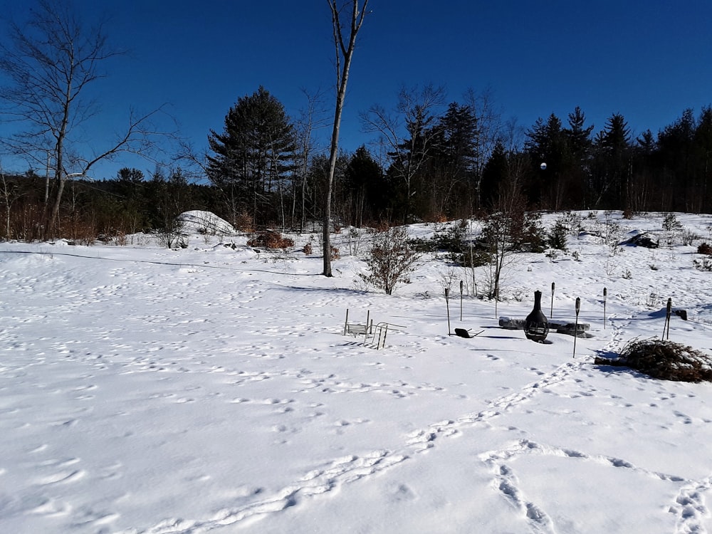 photography of snow-covered field during daytime