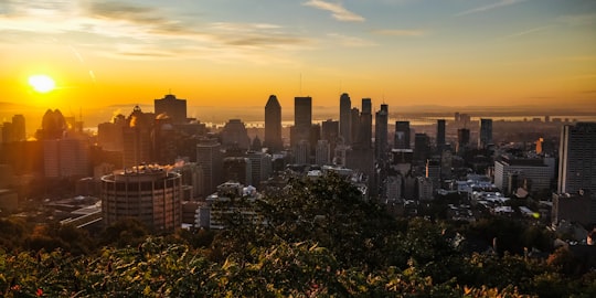 wide-angle photography of high-rise buildings during sunset in Mount Royal Park Canada