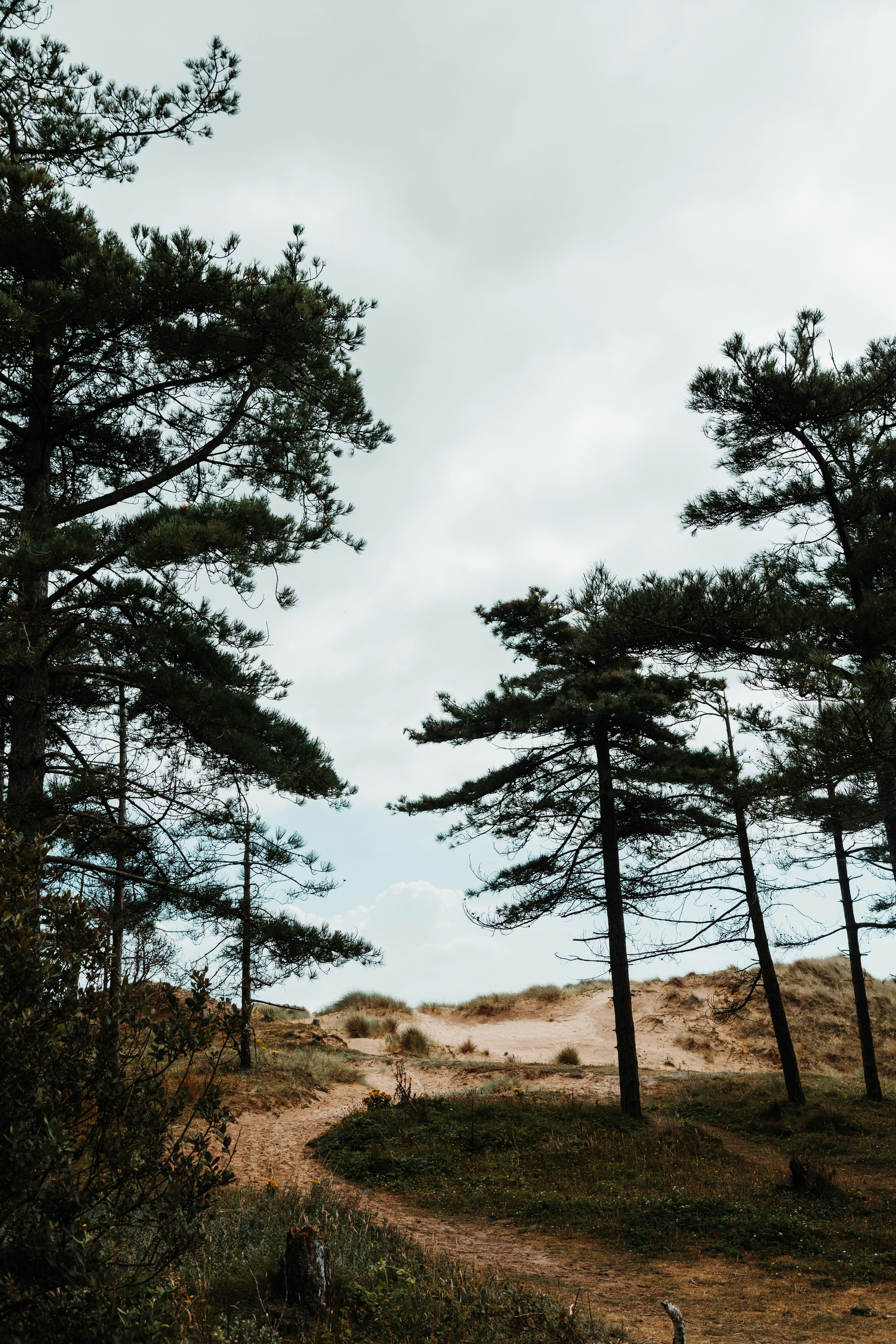 Photo by sourfraser