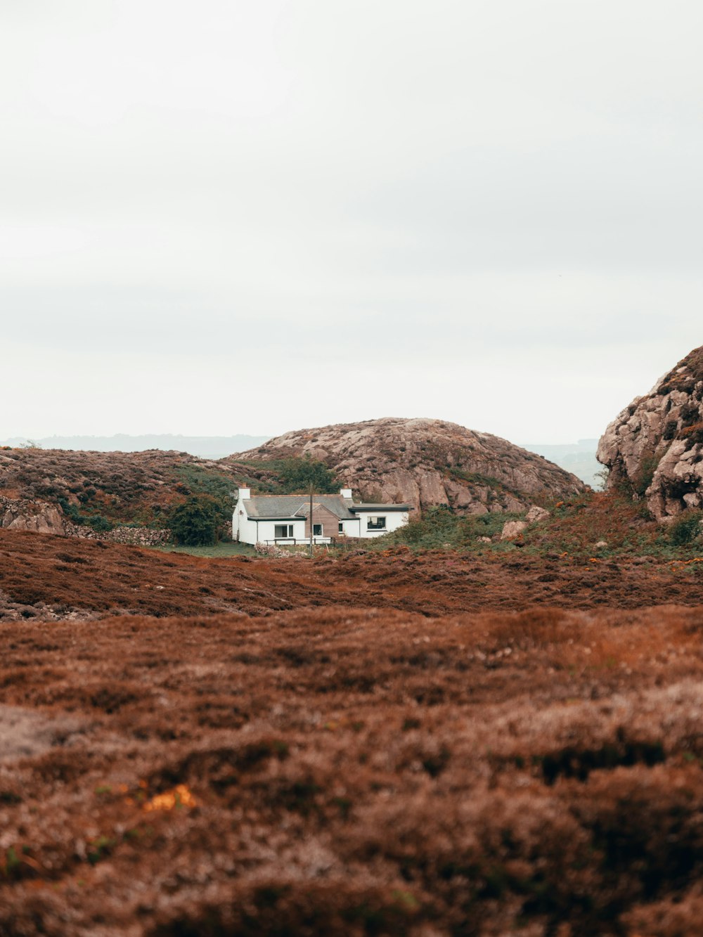 white and brown house