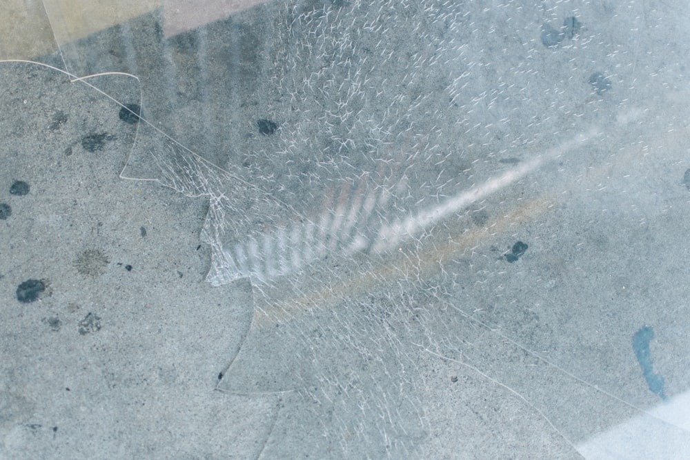 a broken glass window with a cat paw print on it