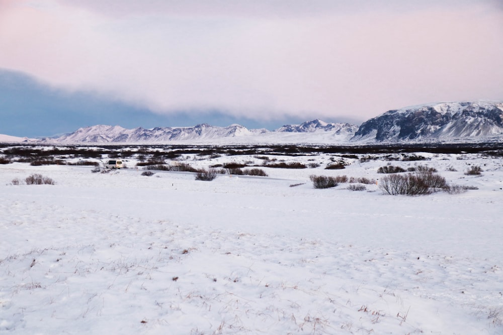 snow field