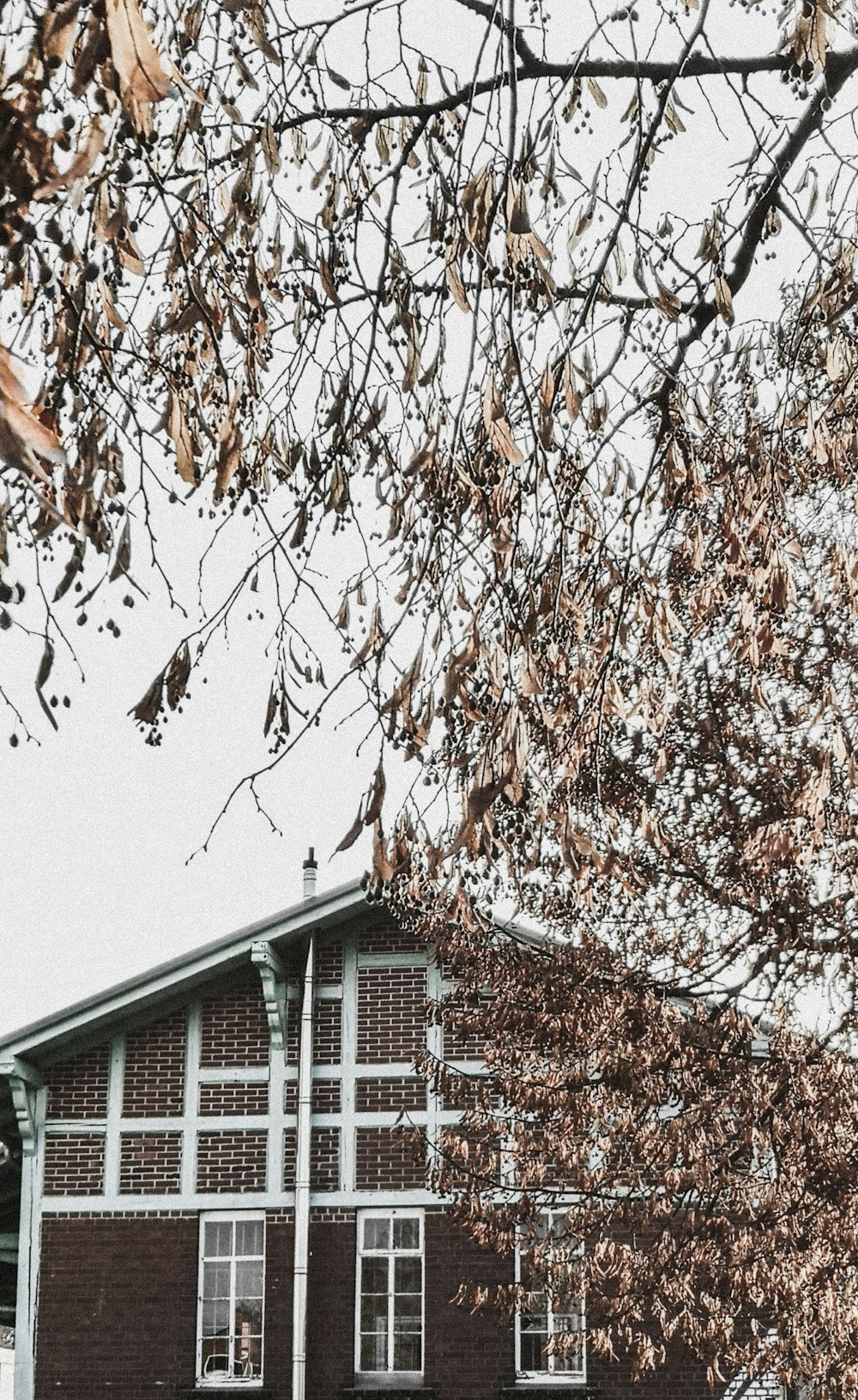 brown concrete house