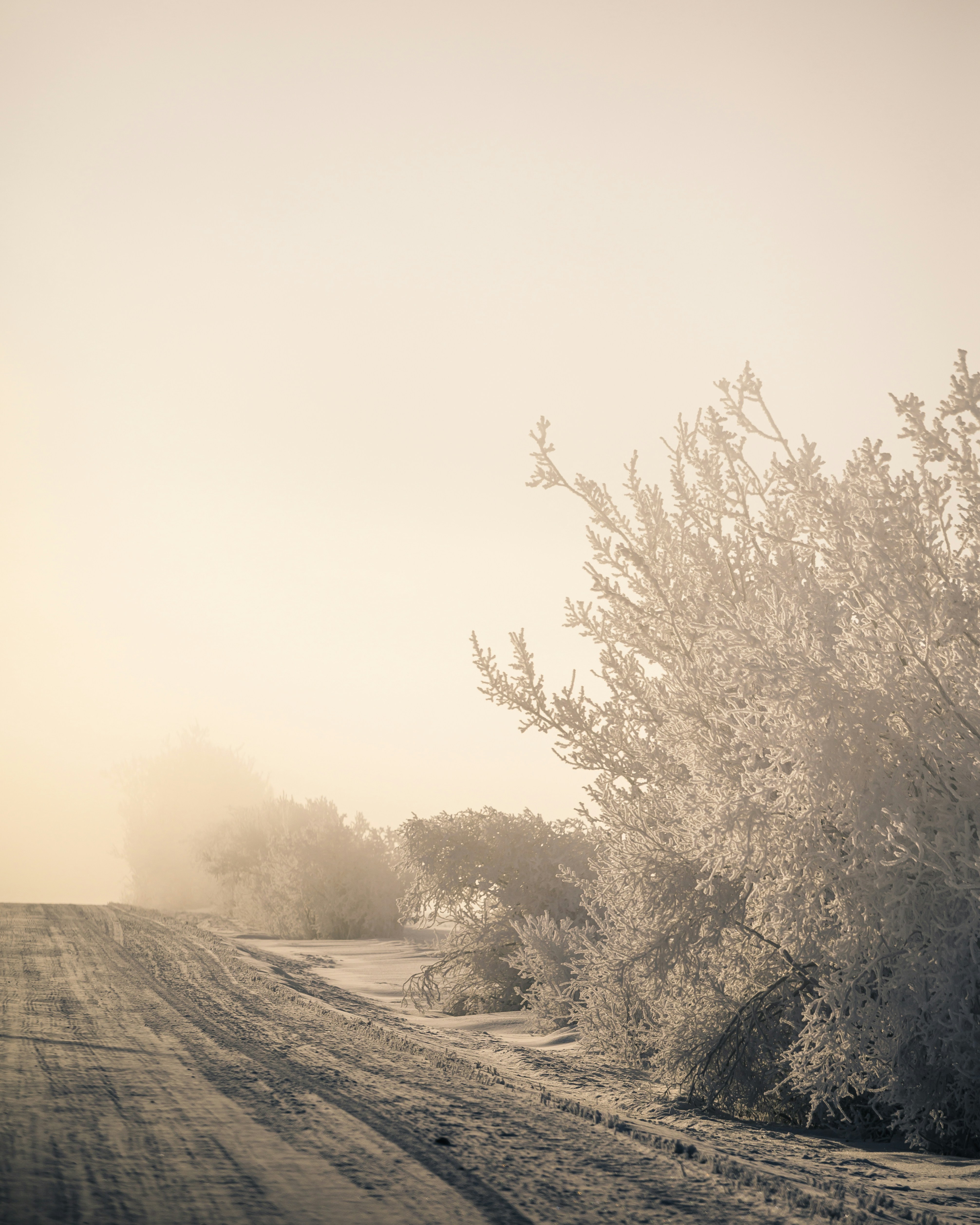 Photo by maxlarochelle