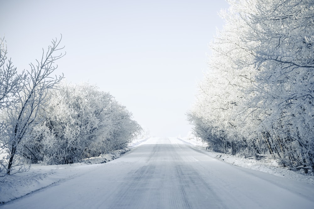 snow covered road