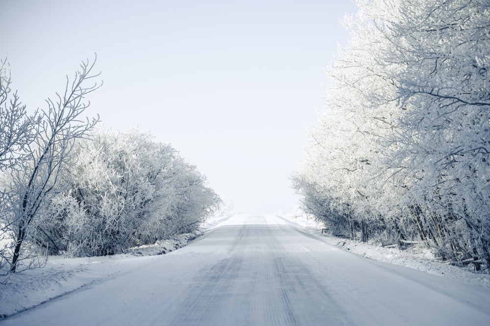 estrada coberta de neve