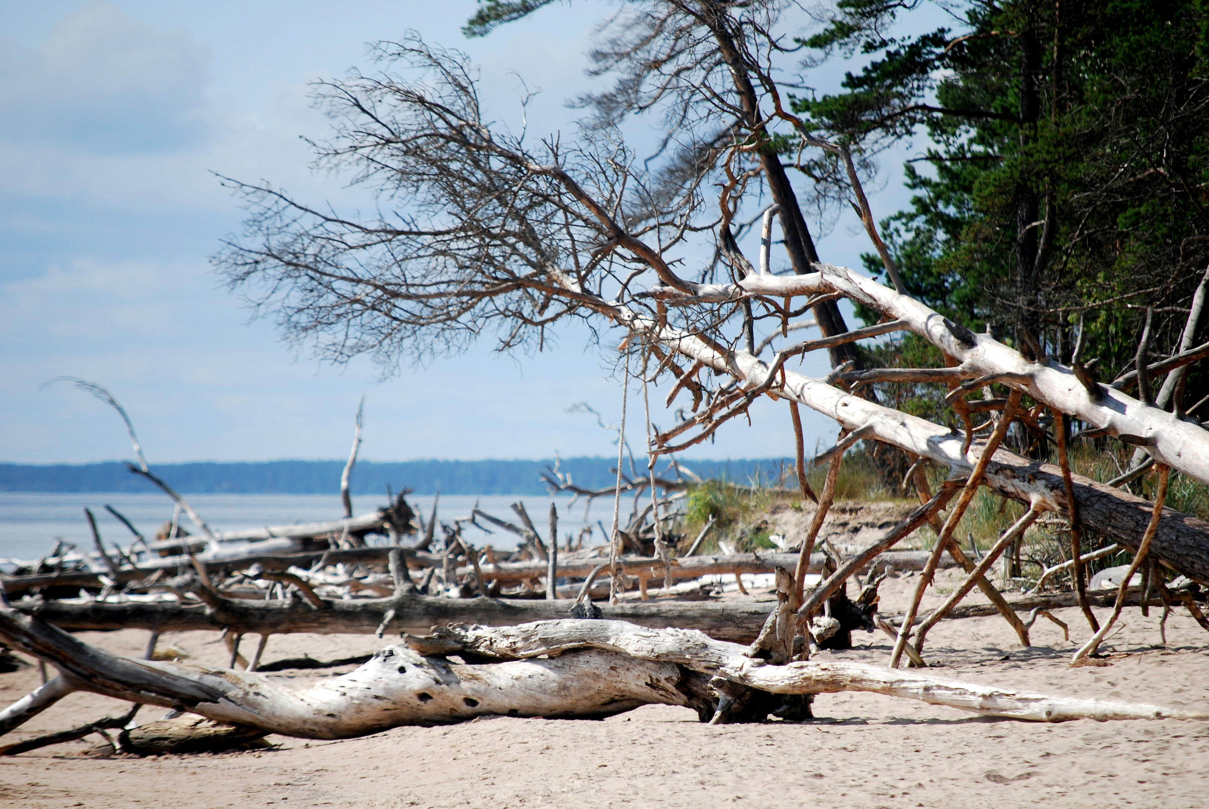 Photo by morepower4u