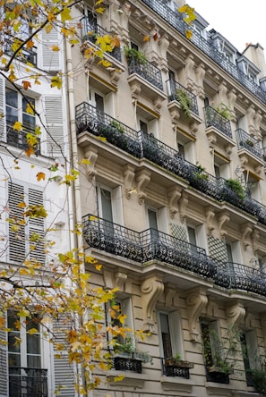 A multi-story residential building with classic French architectural elements including ornate iron balconies and stone carvings. Several windows have closed shutters and small plants decorate the balconies. In the foreground, a tree with autumn-colored leaves partially obscures the view of the building.