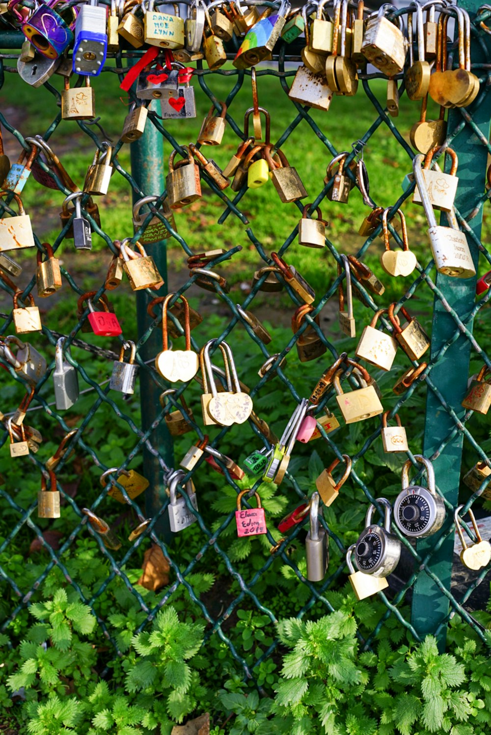 assorted-color padlock on fence