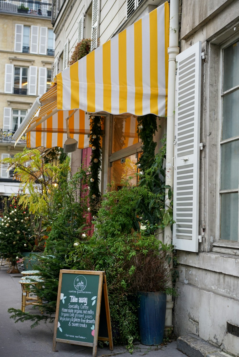 plants under awning