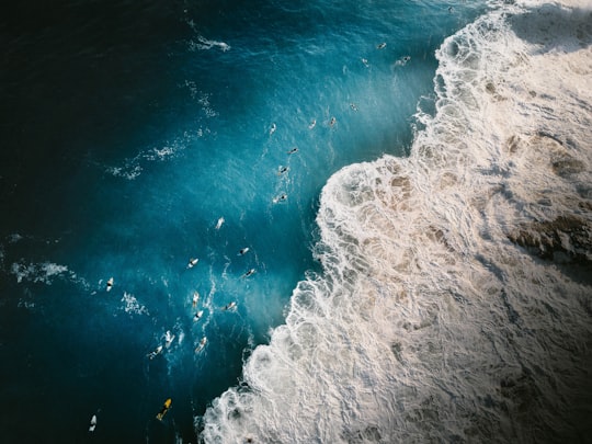 people surfing on sea in Noosa Heads QLD Australia