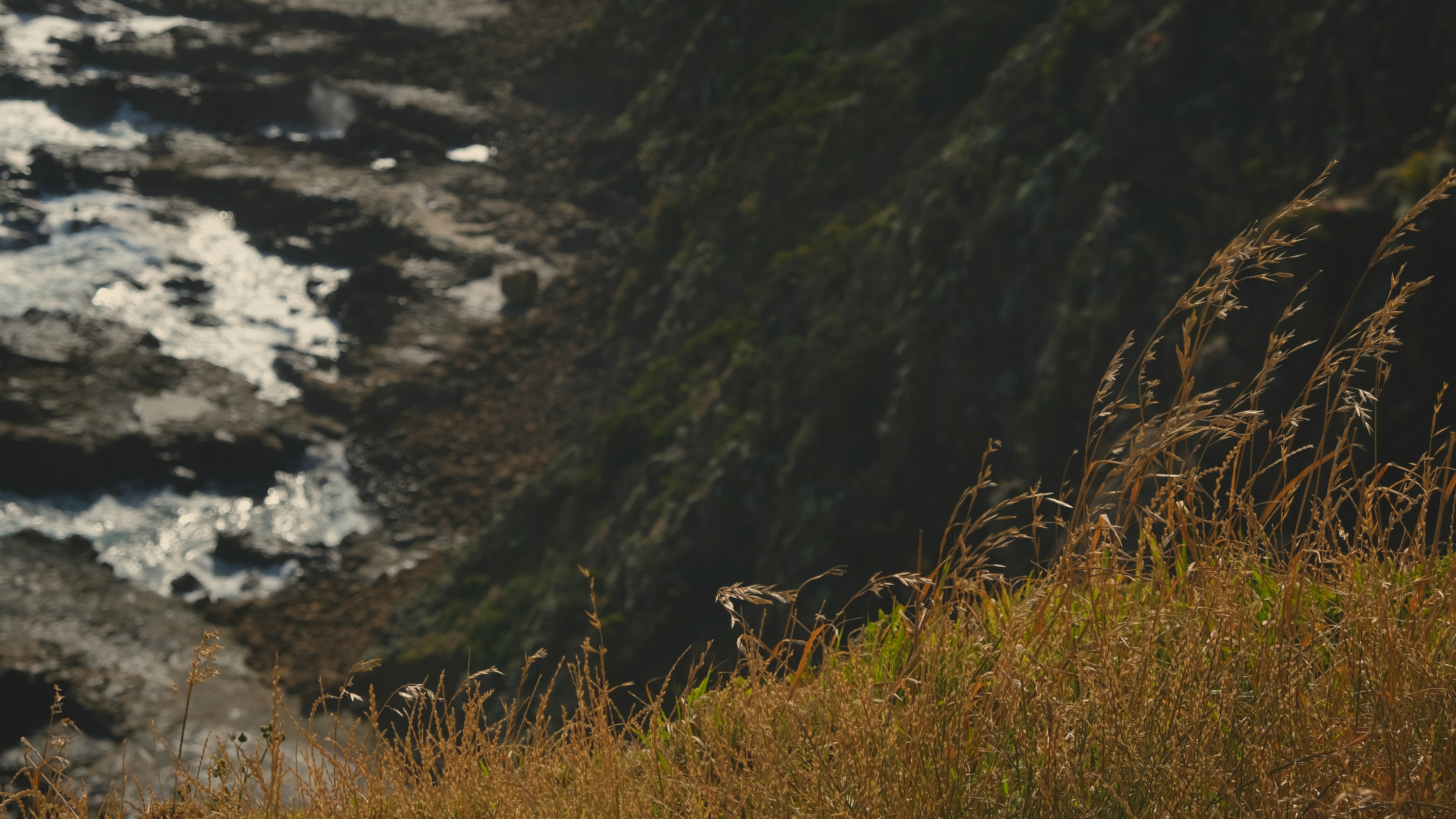 Photo by ptrkwilliam