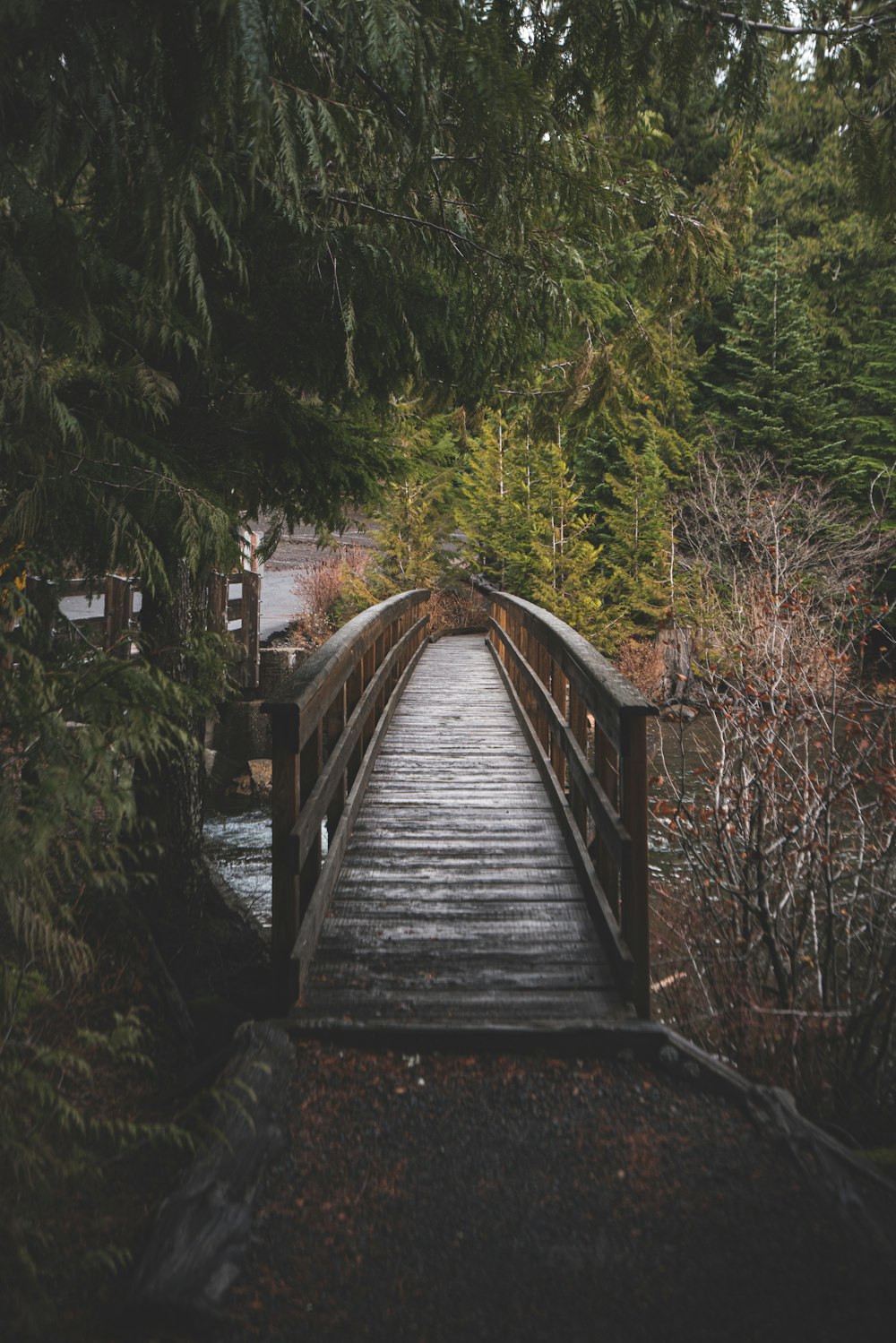 braune Holzbrücke über Wasser in der Nähe von Bäumen während des Tages